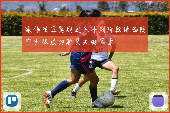 张伟丽卫冕战进入冲刺阶段地面防守升级成为胜负关键因素