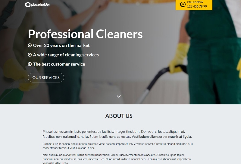 cleaning landing page
